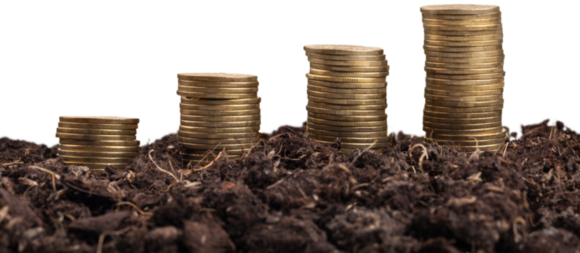 Farmers' hands are watering trees on top of coins stacked.