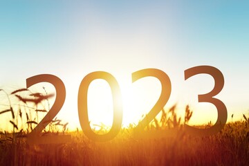 new year concept, 2023 numbers at nature background