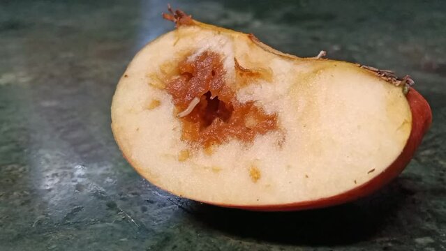 A worm is eating the apple that is spoiled 