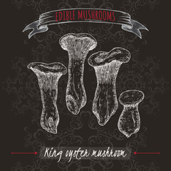 Pleurotus eryngii aka king oyster mushroom sketch on black background. Edible mushrooms series. - 553759551