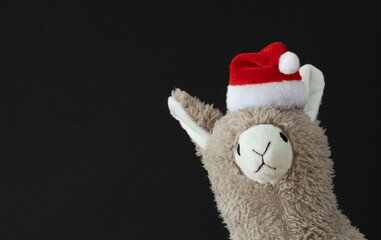 Toy llama in Christmas Santa hat with poker face looks at you. Black background. Space for your text.