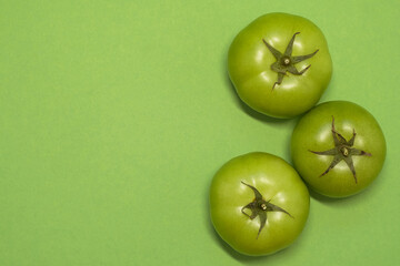 Isolated young green tomato from greenhouse on a green background