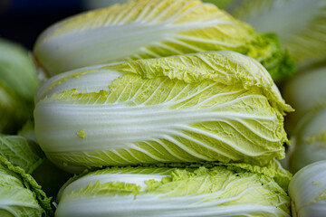 신선한 배추의 클로즈업