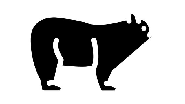 bear animal glyph icon animation