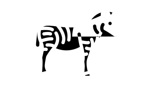 zebra animal glyph icon animation