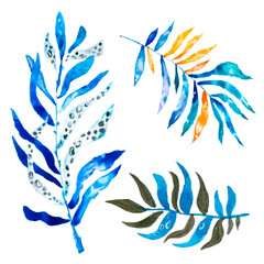 Watercolor blue plants illustration. Watercolor floral textures