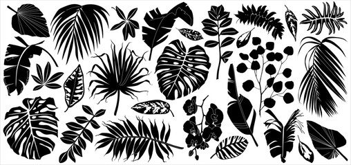 Vector tropical leaves silhouettes. Monochrome set