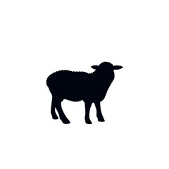 Sheep on a white background. Vector graphics