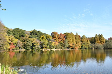 公園
