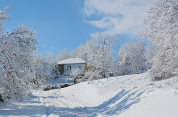 rural winter landscape with a house