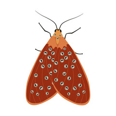 Red night moth top view isolated on a white