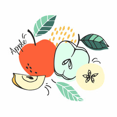 Fruit vector set of bright and juicy apples. Doodle fruits. For menu, shop, posters, stickers, cards, interior decor. Cartoon design.