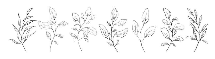 Set of black line art branch, leaf, plants. Botanical floral outline pencil sketch leaves isolated on white background. Hand drawn black simple vector illustration