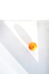 Summer coral orange slice. Top view. Citrus food diet. Fruit round juicy concept. Modern sweet cut photography. Bright color. Sunny piece creative design. Tropical vegetables. Summer vibe shadow
