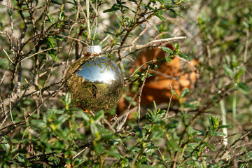 photographer and old house reflecting in gold christmas bauble with green leaves and foliage in the background