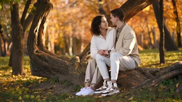 A romantic couple in an autumn park. Talking, smiling, man kissing his woman. Autumn atmosphere, yellowed trees and leaves around