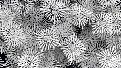 Monochrome background seamless texture of beautiful flowers. illustration
