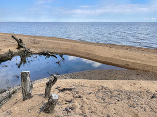 Small backwater on the shore of Lake Khanka in sunny autumn day. Russia, Primorsky Krai