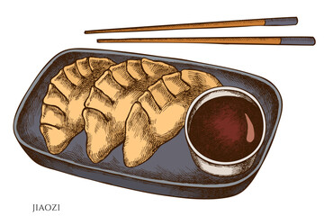 Asian food hand drawn vector illustrations collection. Colored jiaozi.