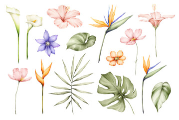 Collection of watercolor wild tropical leaves and flowers. Jungle plant leaves isolated on white background. Monstera, hibiscus flower, calla lily, strelizia. Watercolor botanical illustration.