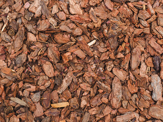 Lots of pine mulch - surface in the park