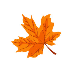 Orange maple leaf for student worksheet vector illustration. Cartoon drawing of tree leaf for learning about forest, math activity or counting game for children. Autumn or fall, education concept