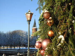 christmas tree decorations in kaliningrad, russia