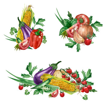 Vegetables. Set of 3 compositions of seasonal vegetables hand drawn in watercolor on a white background. Corn, tomatoes, eggplant, peppers, greens. For printing, scrapbooking, tableware, fabric.
