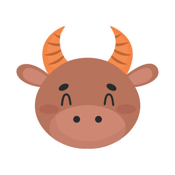 bull head animal
