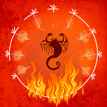 Afbeeldingen over &ldquo;Scorpio Sign&rdquo; – Blader in stockfoto&rsquo;s, vectoren en