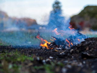 野焼きの炎