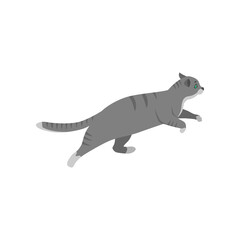 Cute cat cartoon character jumping or hunting vector illustration. Pet on walk or in chase isolated on white background. Animals concept for game design