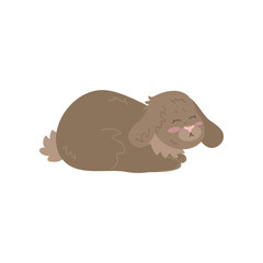 Funny brown rabbit sleeping on white background. Cute bunny cartoon illustration. Farm animal concept