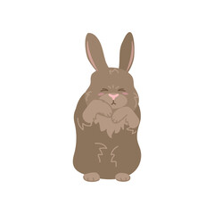 Funny brown rabbit standing in hind legs on white background. Cute bunny cartoon illustration. Farm animal concept