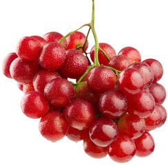 Fresh sweet ripe grape branch