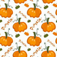 Web Autumn cozy pattern of bright pumpkins and lettering Pumpkin