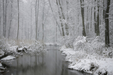 Zimowa rzeka