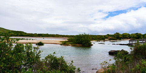 Obraz premium Wild and empty coastline with sand, desert, ocean and grey sky