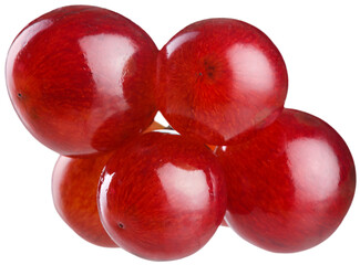 Fresh sweet ripe grape branch