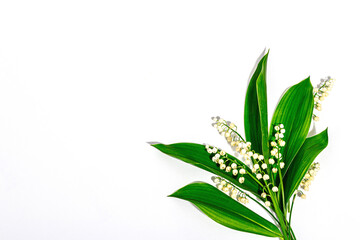 Lily valley flowers with green leaves isolated on white background. Nature object for the design