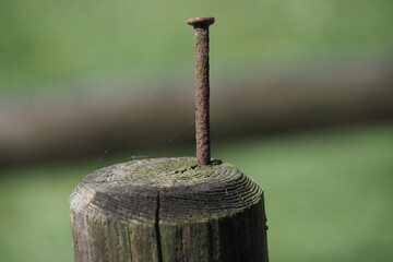Rostiger Nagel auf Holzpfahl
