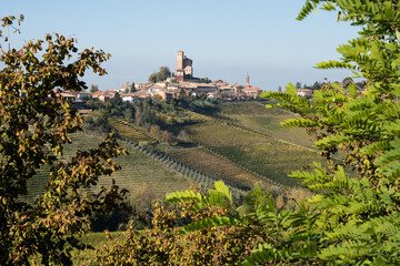 Hamlet on the hill.
Hamlet on the top of hill; the hill is full of vines with autumn colors. Langhe area, Piemonte, Italy.