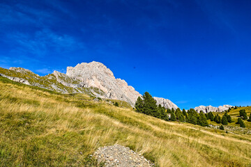 Almwiese mit Berge und Wanderwege auf Col Raiser mit Blick auf die Berge in den Dolomiten, in Santa Cristina, Valgardena, Bozen, Südtirol Italien

Sprache für Keywords: Deutsch