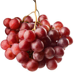 Fresh sweet ripe grape branch