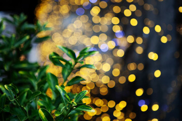 Golden Abstract Bokeh Background. Gold Dust over Black. Green leaves. Christmas background. Copy space. Horizontal image