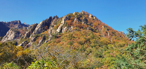 autumn in the mountains