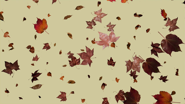 Fall themed Background, with Leaves against Pale Yellow Color. Holiday Banner with copy-space.
