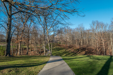 Woodlands in the golf course