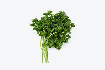 Fresh parsley on white background.