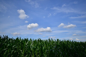 Fr&uuml;hling - Wolken - Clouds